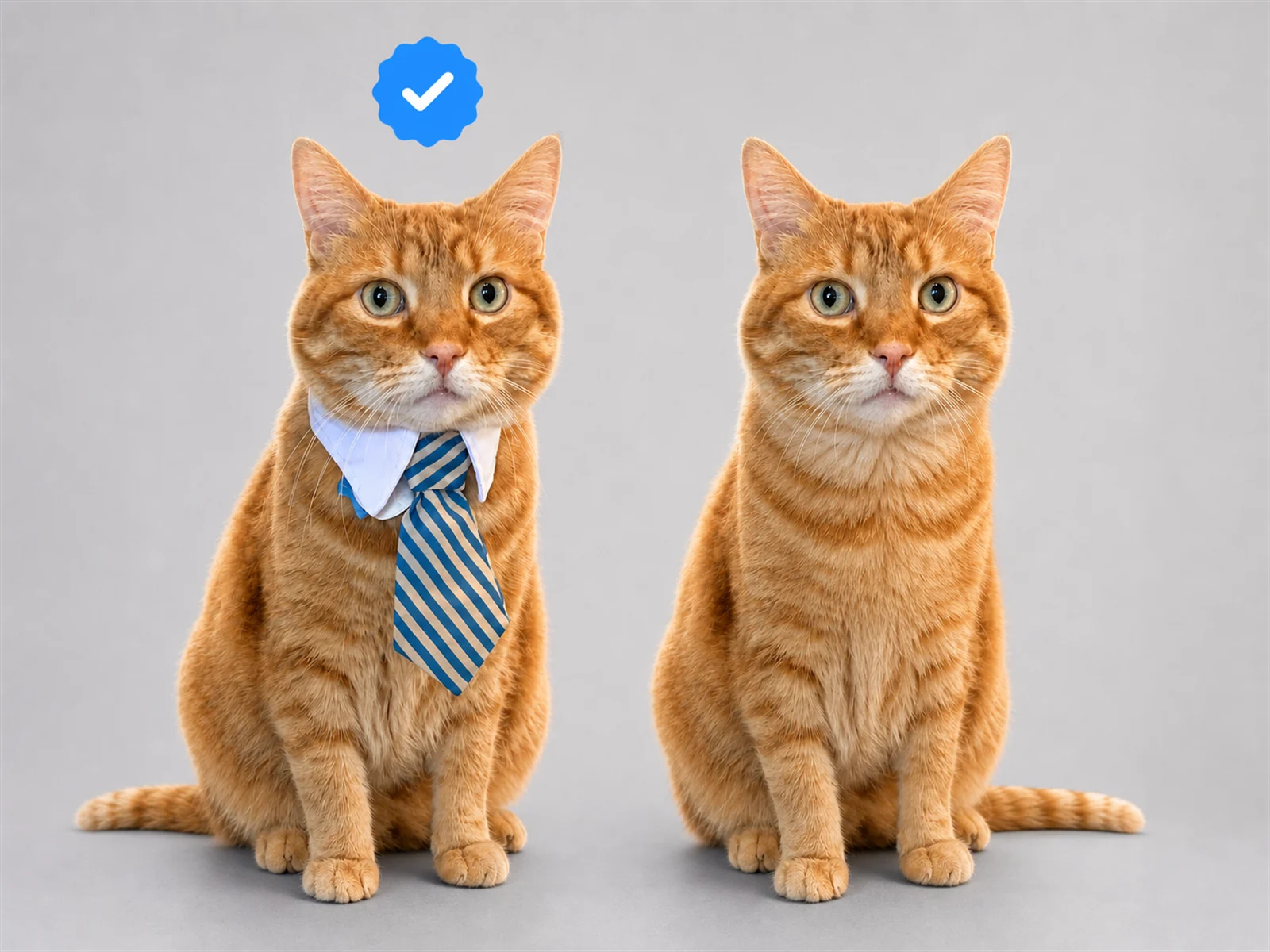 With the checkmark and without
